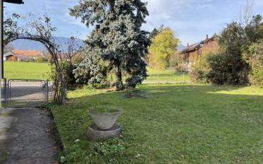 Einfamilienhaus - image - 3