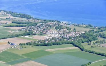 Reihenfamilienhaus - image - 1