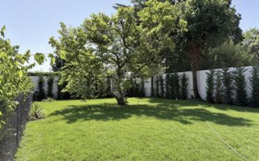 Maison contiguë - image - 10