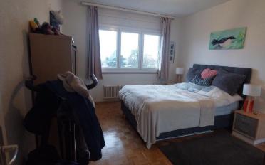 Appartement 2.5 pièces - image - 2