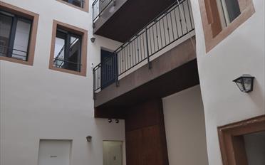 Wohnung 2.5 Zimmer - image - 16