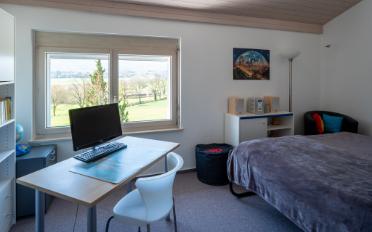 Villa 8.5 Zimmer - image - 9