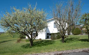 Villa 8.5 Zimmer - image - 11