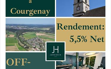 Immeuble mixte 10.5 pièces - image - 1