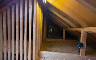 Loft 5 Zimmer - image - 13