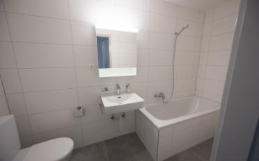 Apartment 3.5 rooms - image - 2