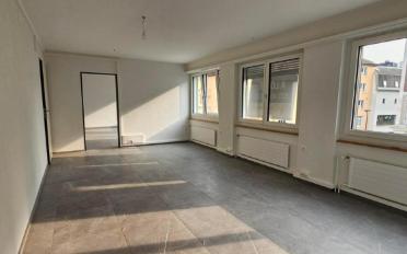 Mixed use property 3 rooms - image - 1