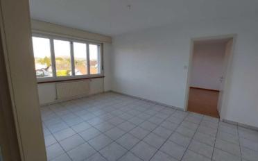 Apartment 2.5 rooms - image - 3