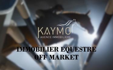 Halle d'équitation - image - 1