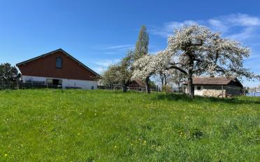 Farm house 5.5 rooms - image - 7
