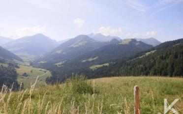Chalet 4.5 rooms - image - 3
