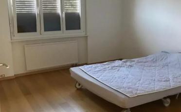 Appartement 4.5 pièces - image - 9