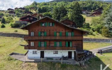 Chalet 11 Zimmer - image - 1