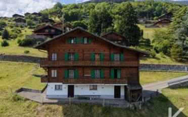 Chalet 11 Zimmer - image - 1