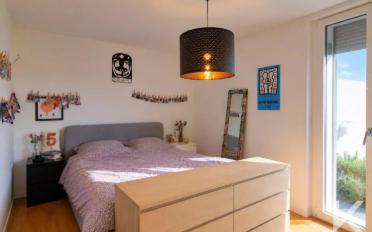 Wohnung 3.5 Zimmer - image - 4