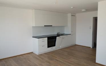 Wohnung ein Zimmer - image - 3