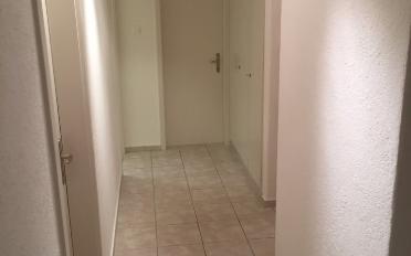 Wohnung ein Zimmer - image - 6