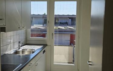 Wohnung 3 Zimmer - image - 2