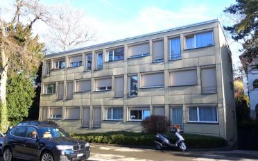 Wohnung ein Zimmer - image - 4