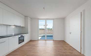 Attikawohnung 2.5 Zimmer - image - 2