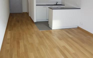 Appartement 1.5 pièces - image - 4