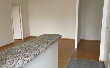 Wohnung 4 Zimmer - image - 4