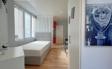 Furnished flat 1 room - image - 4
