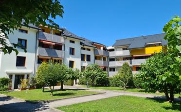 Appartement 3 pièces - image - 1