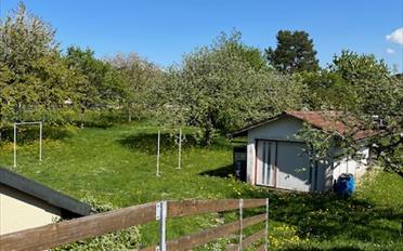 Maison - image - 7