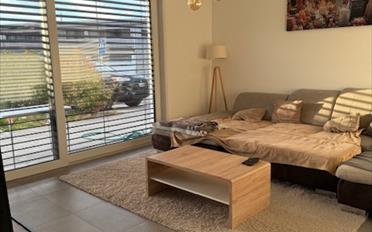 Villa 6.5 Zimmer - image - 2
