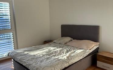 Villa 6.5 Zimmer - image - 8