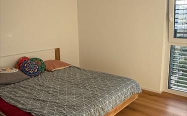 Villa 6.5 Zimmer - image - 9