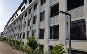 Duplex 7 rooms - image - 19