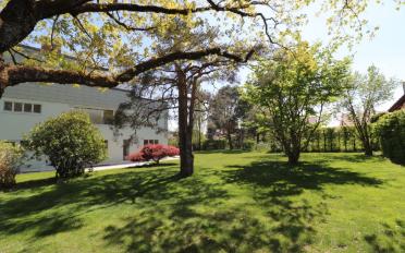 Einfamilienhaus 10 Zimmer - image - 9