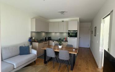 Terrace flat 3 rooms - image - 2