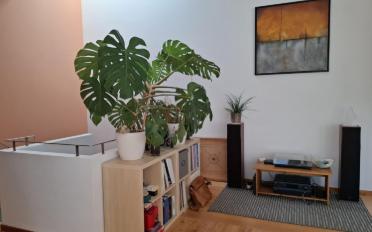 Appartement 5.5 pièces - image - 6