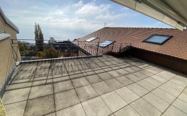 Wohnung 3.5 Zimmer - image - 2