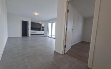 Wohnung 2.5 Zimmer - image - 3