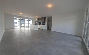 Appartement 3.5 pièces - image - 2