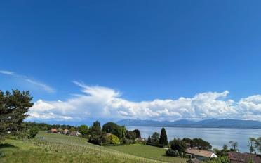 Apartment 2.5 rooms - image - 1