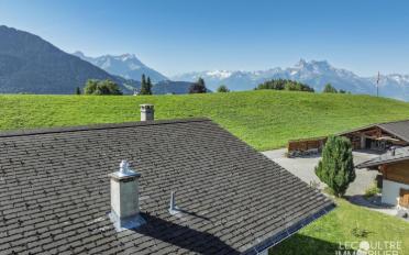 Chalet 5.5 Zimmer - image - 8