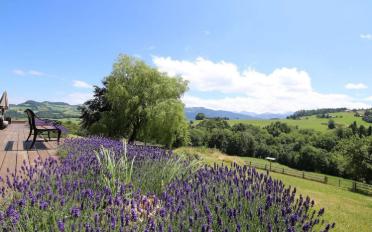 Villa 9 rooms - image - 2