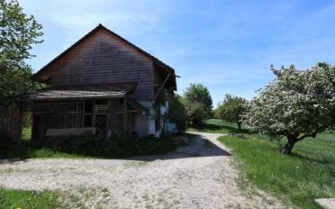 Einfamilienhaus 7.5 Zimmer - image - 7