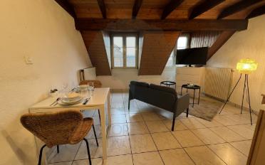 Appartement meublé 1.5 pièces - image - 2