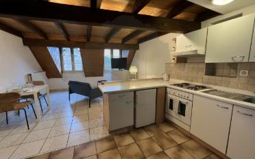 Appartement meublé 1.5 pièces - image - 4