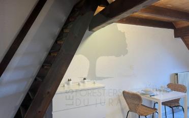 Appartement meublé 1.5 pièces - image - 6