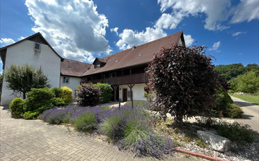 Mixed use property 11 rooms - image - 1