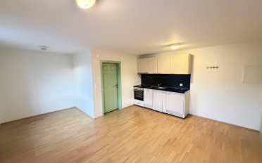 Appartement 1.5 pièces - image - 1