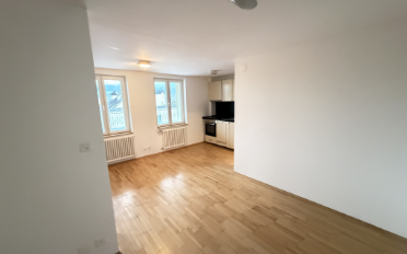 Wohnung 1.5 Zimmer - image - 2