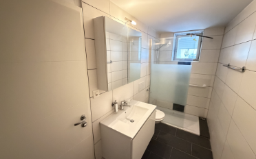 Appartement 4.5 pièces - image - 11